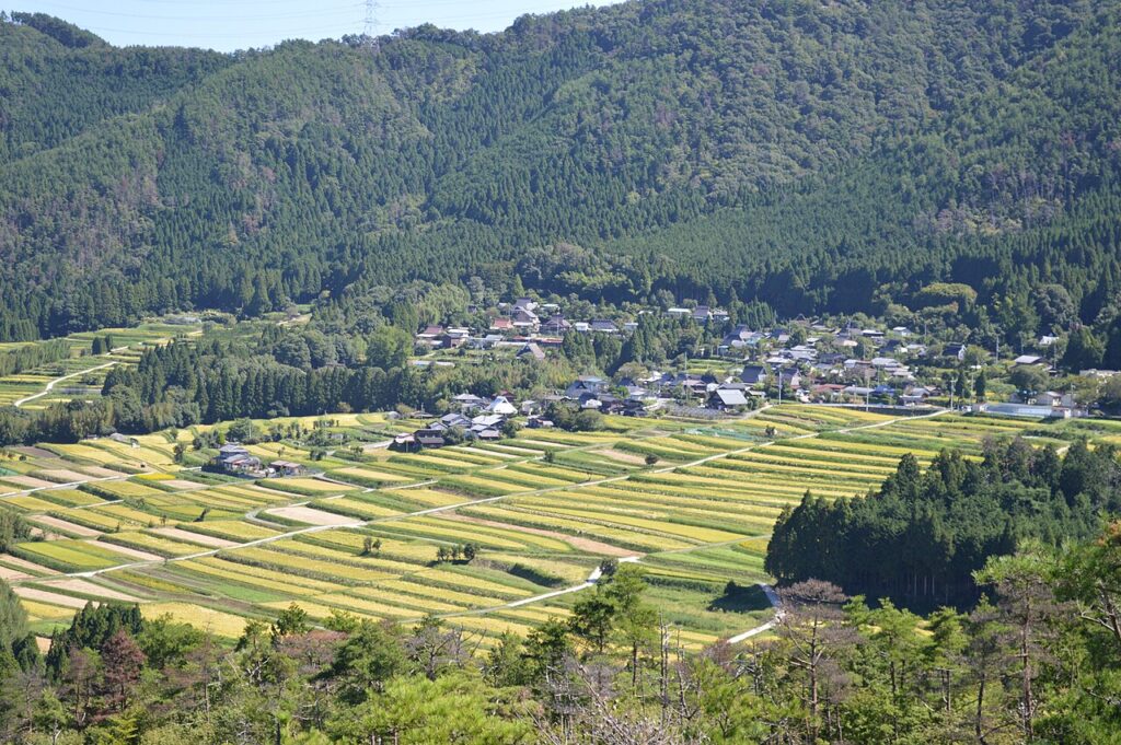 京都市右京区嵯峨越畑の棚田風景